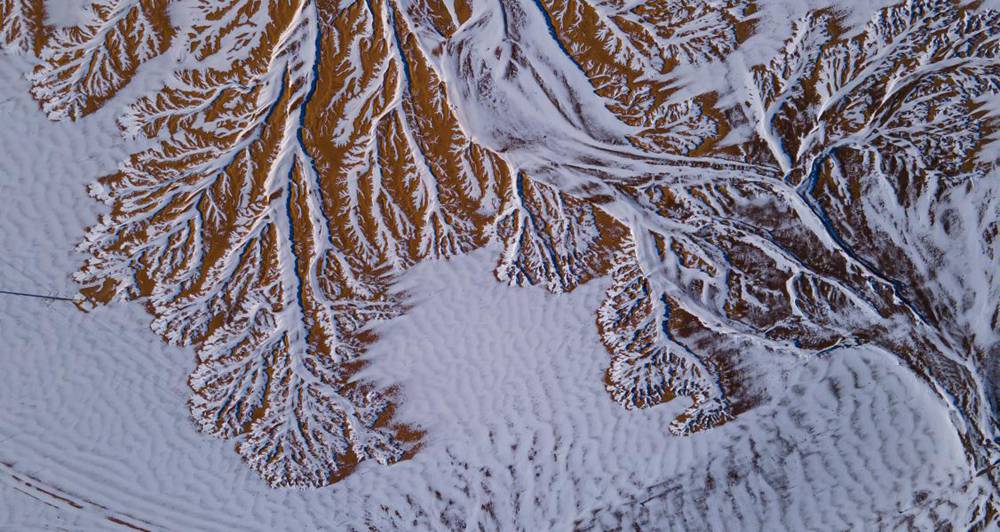 栩栩如生的枝干。邊巴多吉攝