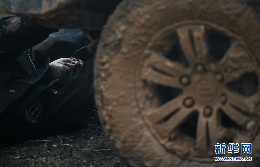 （圖文互動(dòng)）（8）記者手記：可可西里，“挪”向“藏羚羊大產(chǎn)房”的14個(gè)半小時(shí)