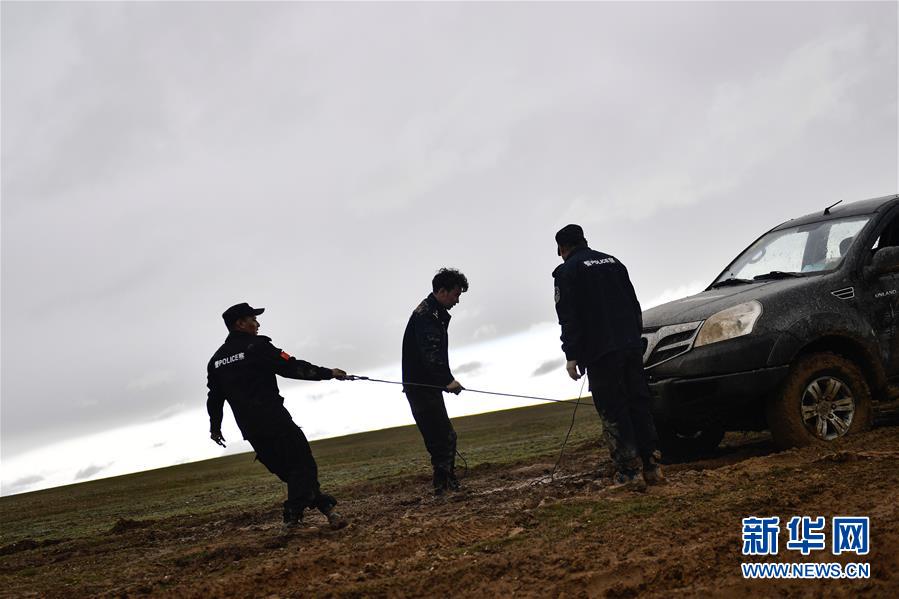 （圖文互動(dòng)）（10）記者手記：可可西里，“挪”向“藏羚羊大產(chǎn)房”的14個(gè)半小時(shí)