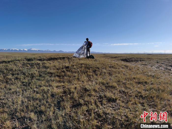 圖為索南達(dá)杰保護(hù)站保護(hù)隊(duì)員在可可西里找到露營(yíng)的葉某?！∴嚭Ｆ?攝