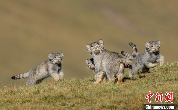 圖為李善元獲獎作品《當媽媽說跑步前進》?！±钌圃?攝