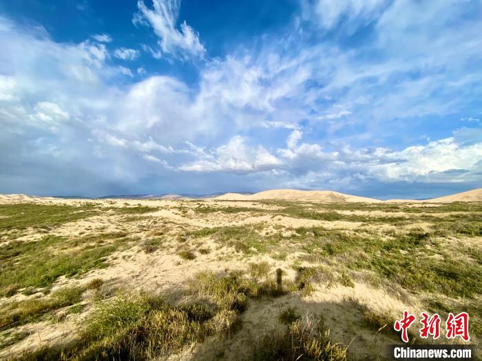 圖為關(guān)停四年后的沙島景區(qū)現(xiàn)狀?！±罱瓕?攝