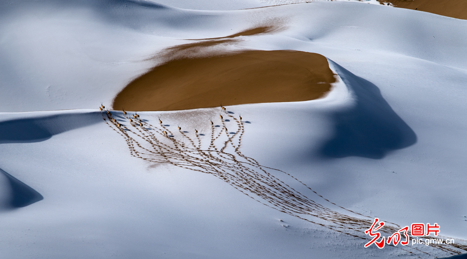 三江源國家公園正式設(shè)立，這是青海生態(tài)文明建設(shè)的新答卷
