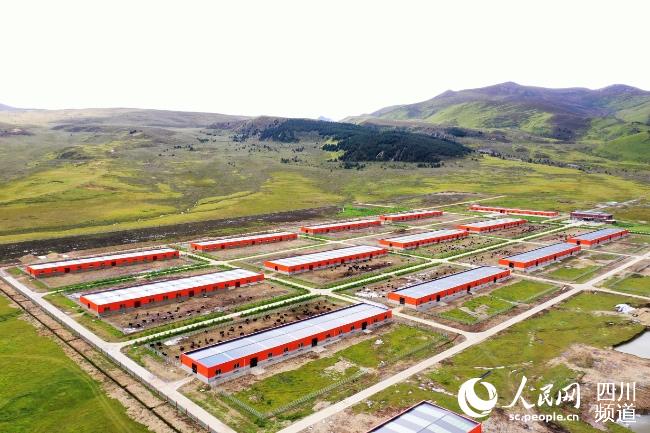 建設(shè)中的理塘縣牦牛產(chǎn)業(yè)園。葉強(qiáng)平攝
