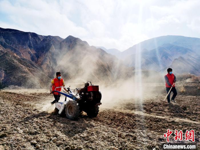 圖為拖拉機(jī)在山地犁地?！?zhí)砀?攝