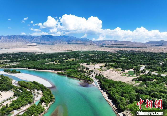 航拍貴德縣黃河岸畔綠意盎然。　馬銘言 攝