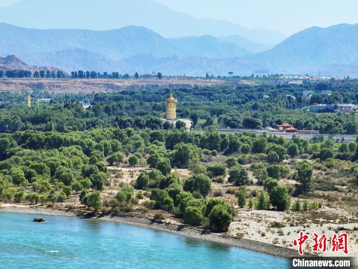 航拍貴德縣黃河岸畔綠意盎然?！●R銘言 攝