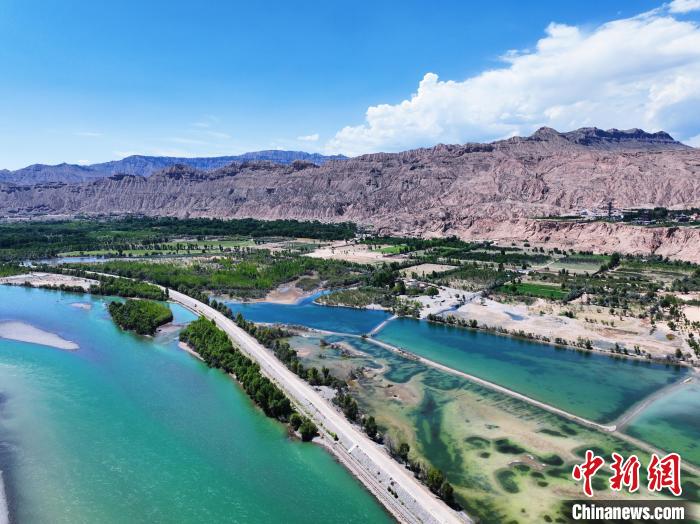 航拍貴德縣黃河岸畔綠意盎然。　馬銘言 攝