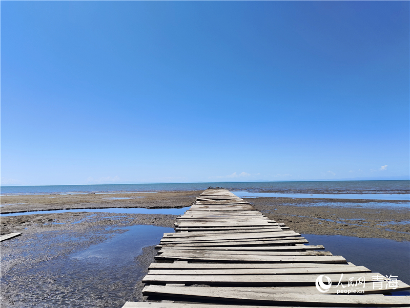  青海湖仙女灣。人民網(wǎng) 張莉萍攝