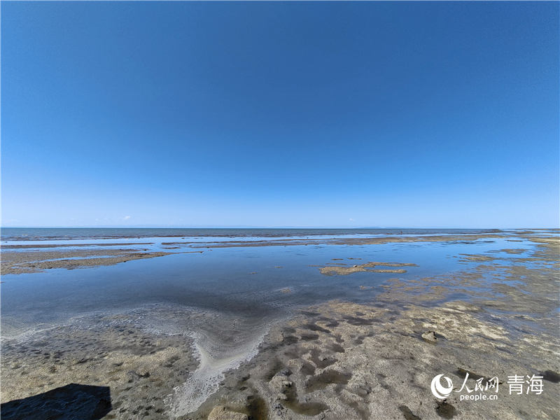   青海湖仙女灣。人民網(wǎng) 張莉萍攝