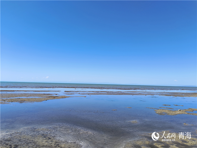   青海湖仙女灣。人民網(wǎng) 張莉萍攝