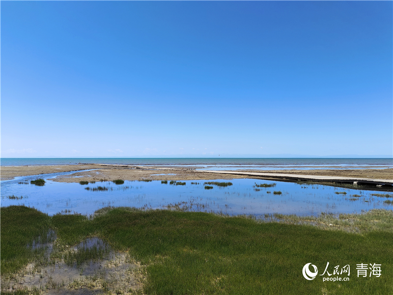   青海湖仙女灣。人民網(wǎng) 張莉萍攝