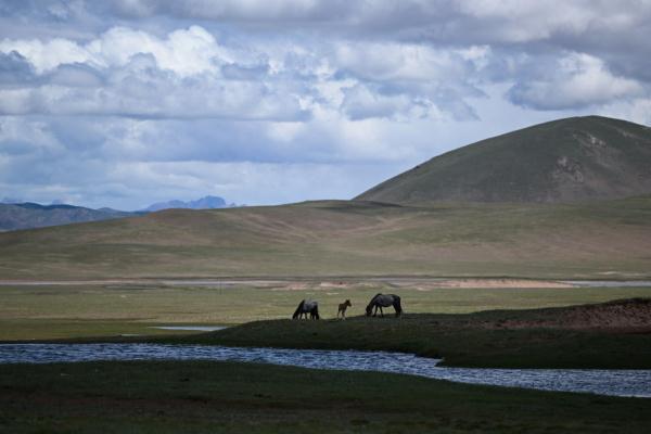 唐古拉山腳下，聽(tīng)牧民講述長(zhǎng)江源生活變遷