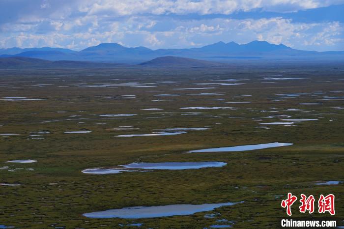 圖為查旦濕地。　馬銘言 攝