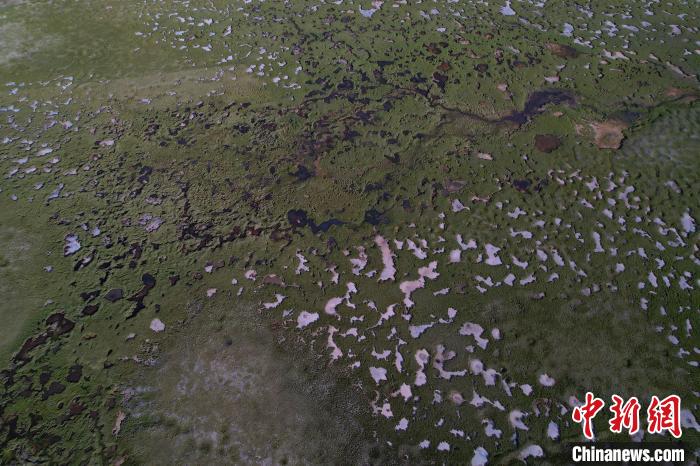 航拍查旦濕地?！●R銘言 攝