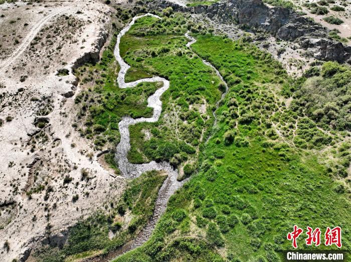 圖為航拍都蘭湖國(guó)家濕地公園綠意盎然?！∑钤鲚?攝