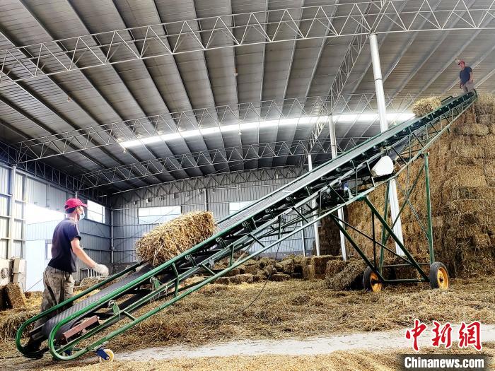 圖為飼草打捆、儲存?！●R芝芬 攝