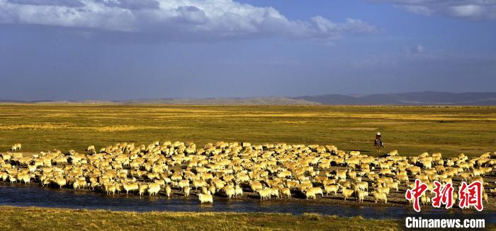 青?，敹唷鞍渍渲椤弊尠傩斟X袋鼓起來(lái)