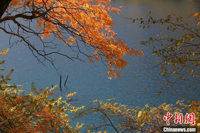 松坪溝風(fēng)光?！⑼?攝