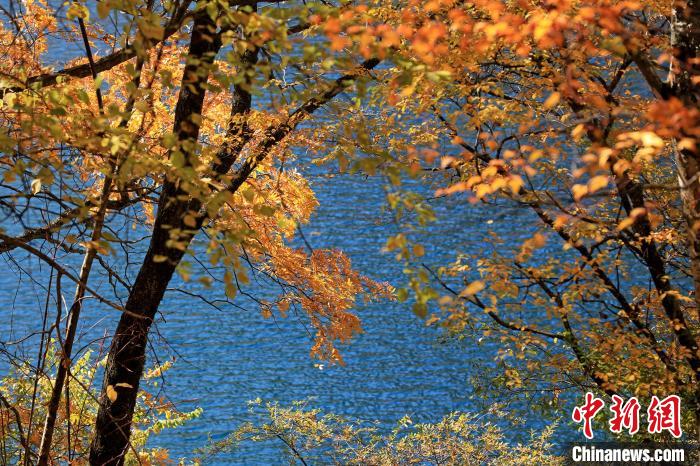 松坪溝風(fēng)光?！⑼?攝