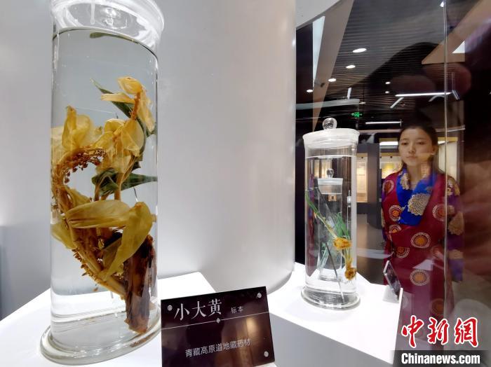 青海中藏醫(yī)藥發(fā)展提速：建設(shè)一批重點(diǎn)專(zhuān)科學(xué)科，推廣一批適宜技術(shù)