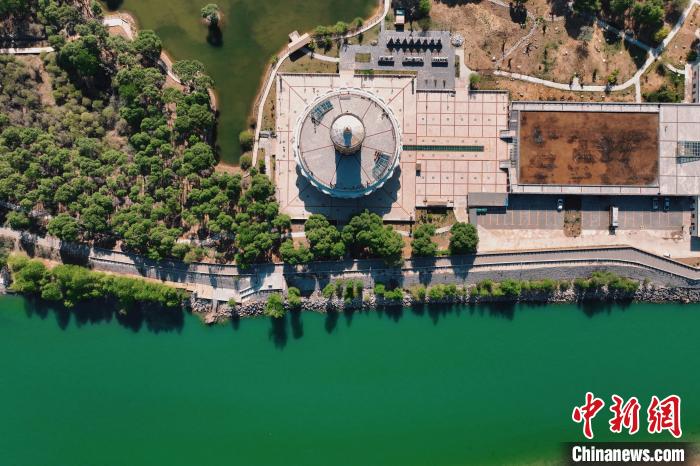 航拍青海貴德黃河岸畔綠意濃濃。　趙凜松 攝