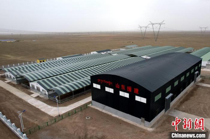 圖為航拍生態(tài)畜牧業(yè)集中規(guī)模化養(yǎng)殖基地。　蔡志睿 攝