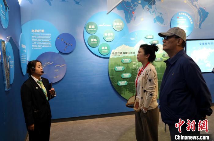 圖為臺商在祁連山國家公園生態(tài)科普館內(nèi)聆聽講解?！⊙Φ?攝