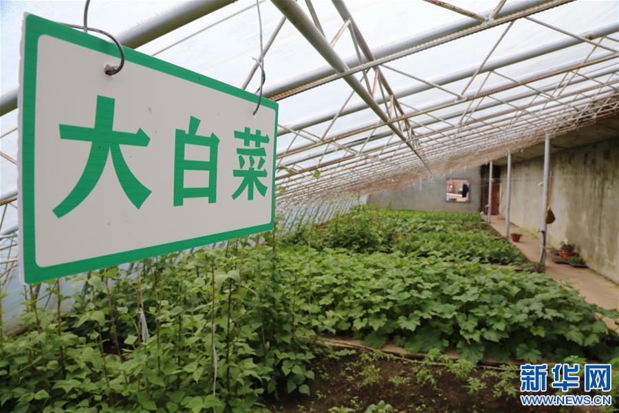 (供新華網(wǎng)西藏頻道)西藏亞東出入境邊防檢查站的“菜籃子”