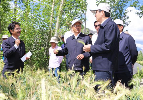 全國表彰大會(huì)上，為什么只有他沒到？