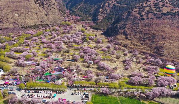 世外桃源！一組圖告訴你，西藏林芝桃花能有多美