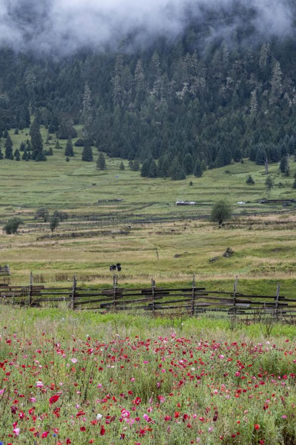 跟我，踏上最美“景觀大道”