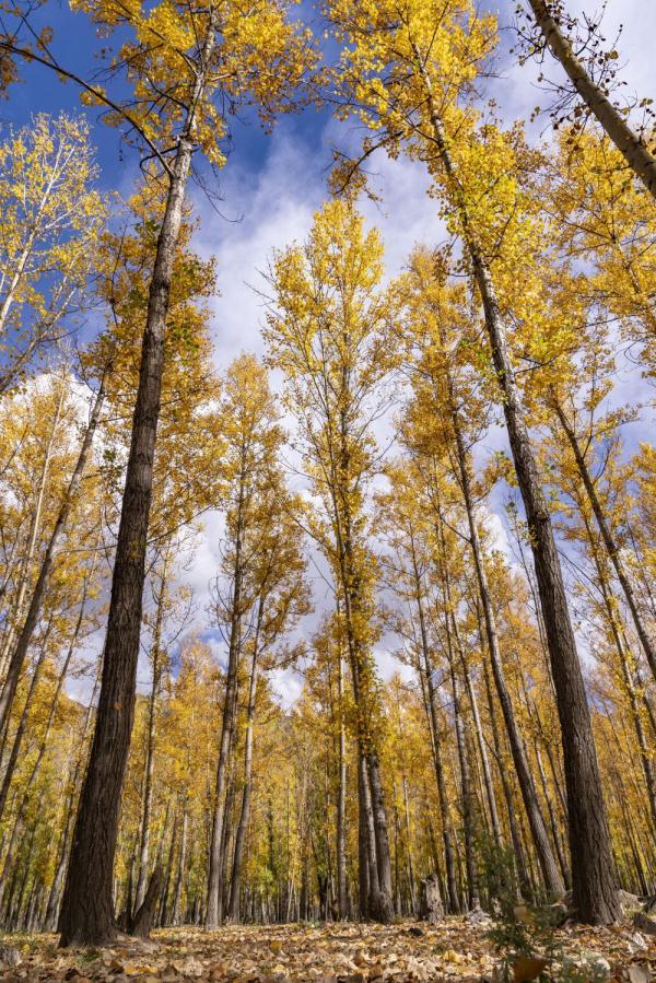 跟我，踏上最美“景觀大道”