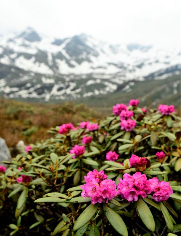跟我，踏上最美“景觀大道”