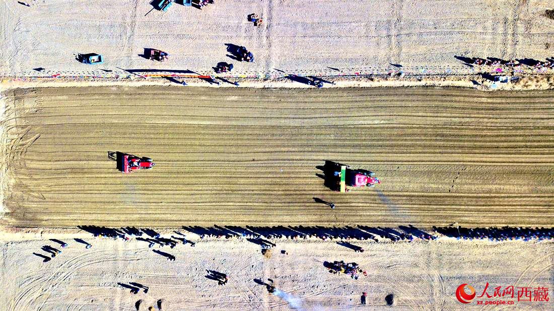 山南市扎囊縣扎其鄉(xiāng)孟卡榮村迎來(lái)春耕第一犁。人民網(wǎng) 次仁羅布攝