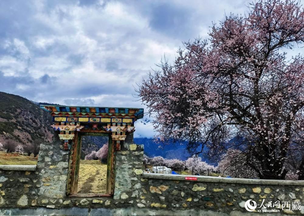 桃花下的藏式民居。人民網(wǎng) 李海霞攝