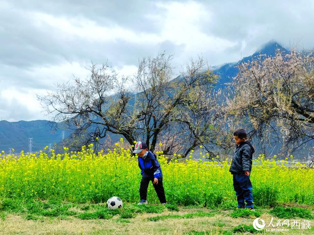 孩童在桃花下嬉戲。人民網(wǎng) 李海霞攝