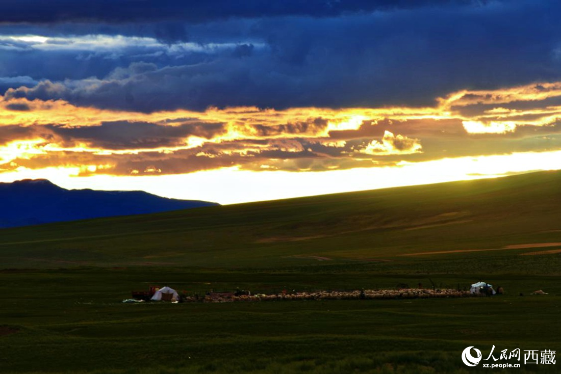 黃昏下的帳篷，牧民過著幸福生活。 人民網(wǎng) 李海霞攝