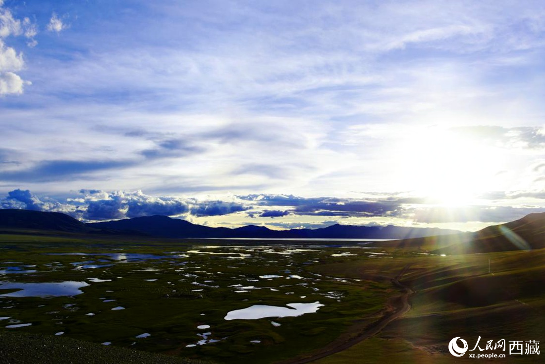 七月的羌塘草原處處是景。人民網(wǎng) 李海霞攝