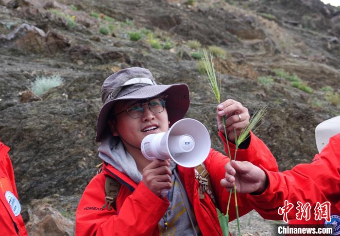 青藏科考：青稞如何走上青藏高原？