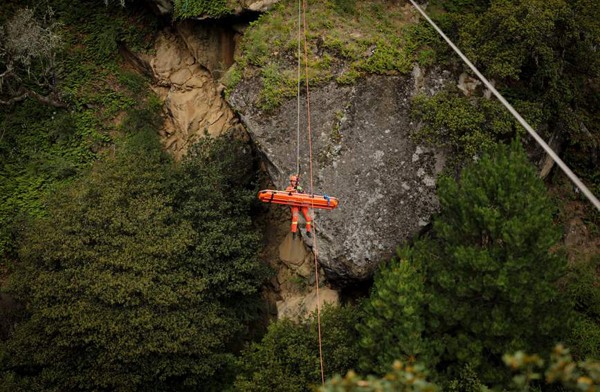 叢林中的橙色身影。西繞拉翁攝
