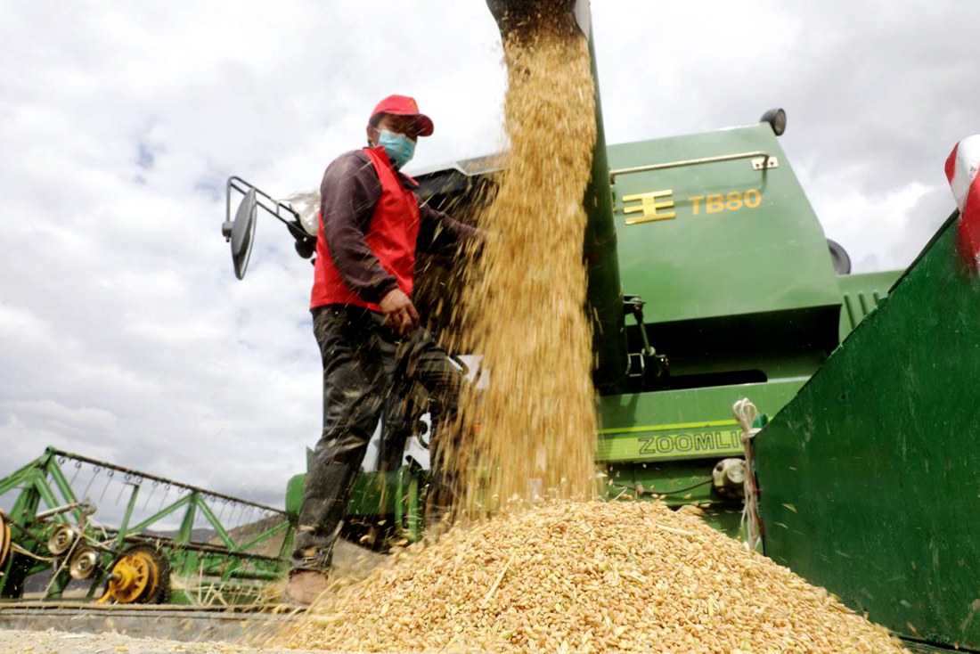 顆粒歸倉(cāng)。洛克攝