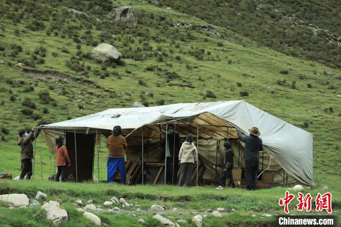 圖為牧民們在秋季牧場搭建帳篷?！÷蹇?攝