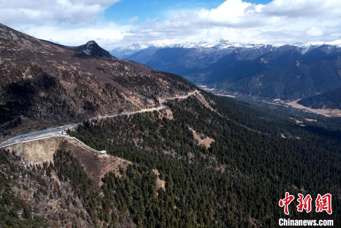 2月17日，西藏林芝魯朗林海。(無人機(jī)照片) 李林 攝