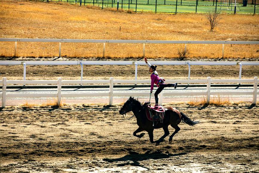 藏歷新年，精彩的馬術(shù)表演。張靜攝
