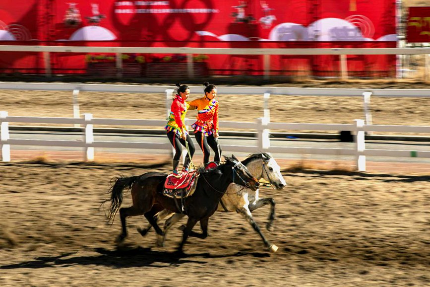 藏歷新年，精彩的馬術(shù)表演。張靜攝