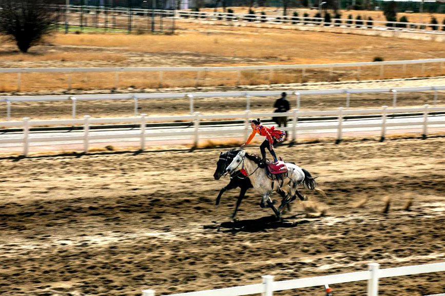 藏歷新年，精彩的馬術(shù)表演。張靜攝