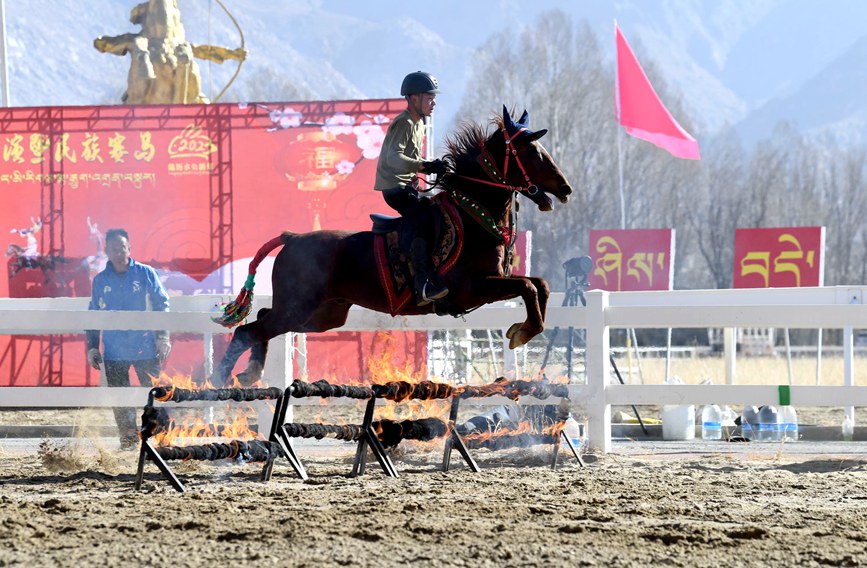 藏歷新年，精彩的馬術(shù)表演。潘多攝