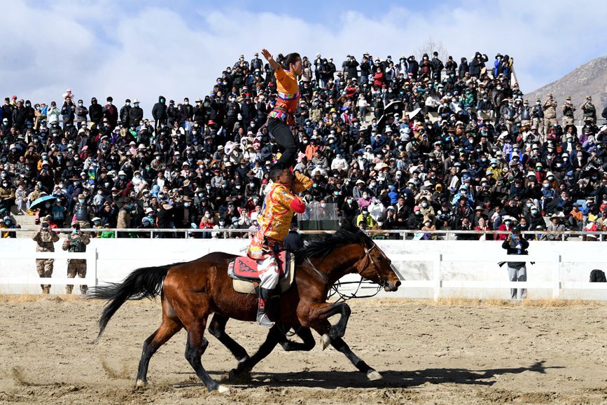 藏歷新年，精彩的馬術(shù)表演。潘多攝