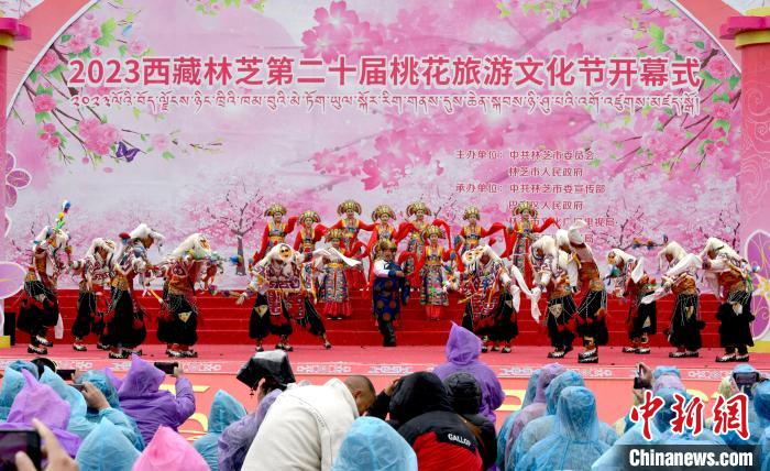 3月28日，西藏林芝第二十屆桃花旅游文化節(jié)開幕式上的文藝表演?！±盍?攝